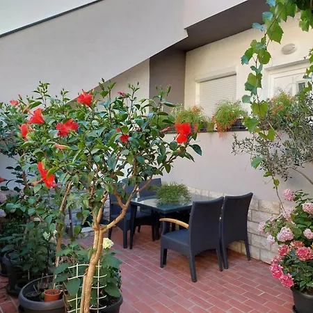 Apartment Eli